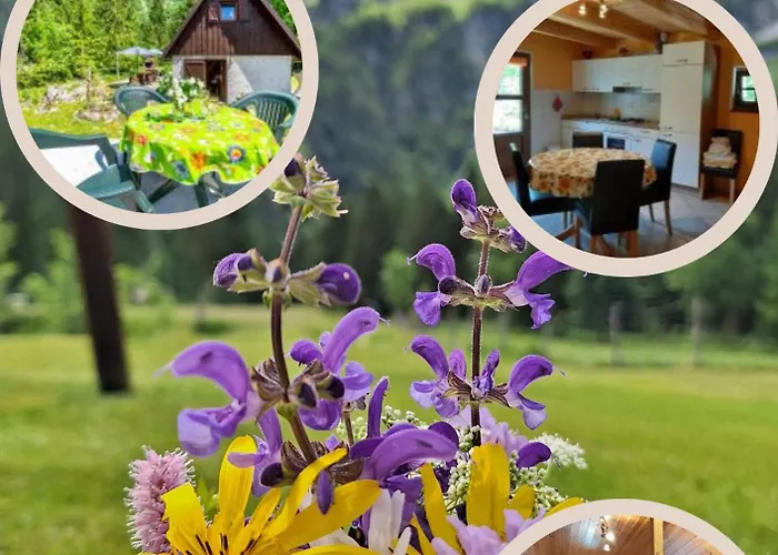 Cottage Lepena