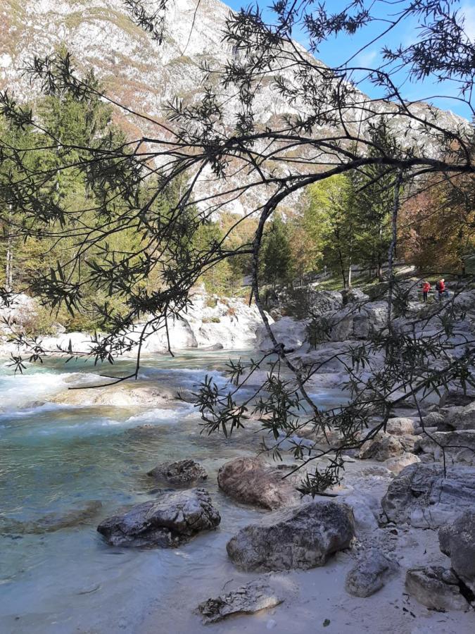 Lepena * Soča
