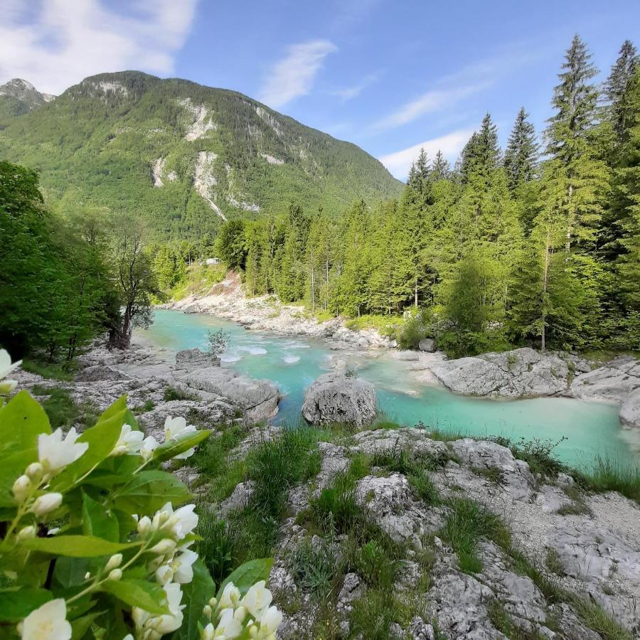 Lepena Hébergement de vacances